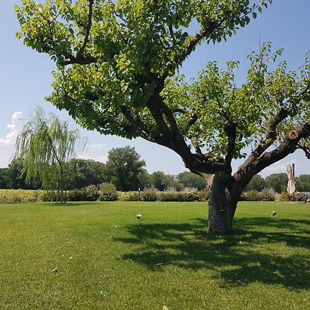 Agriturismo Villa Al Piano Todi Zewnętrze zdjęcie