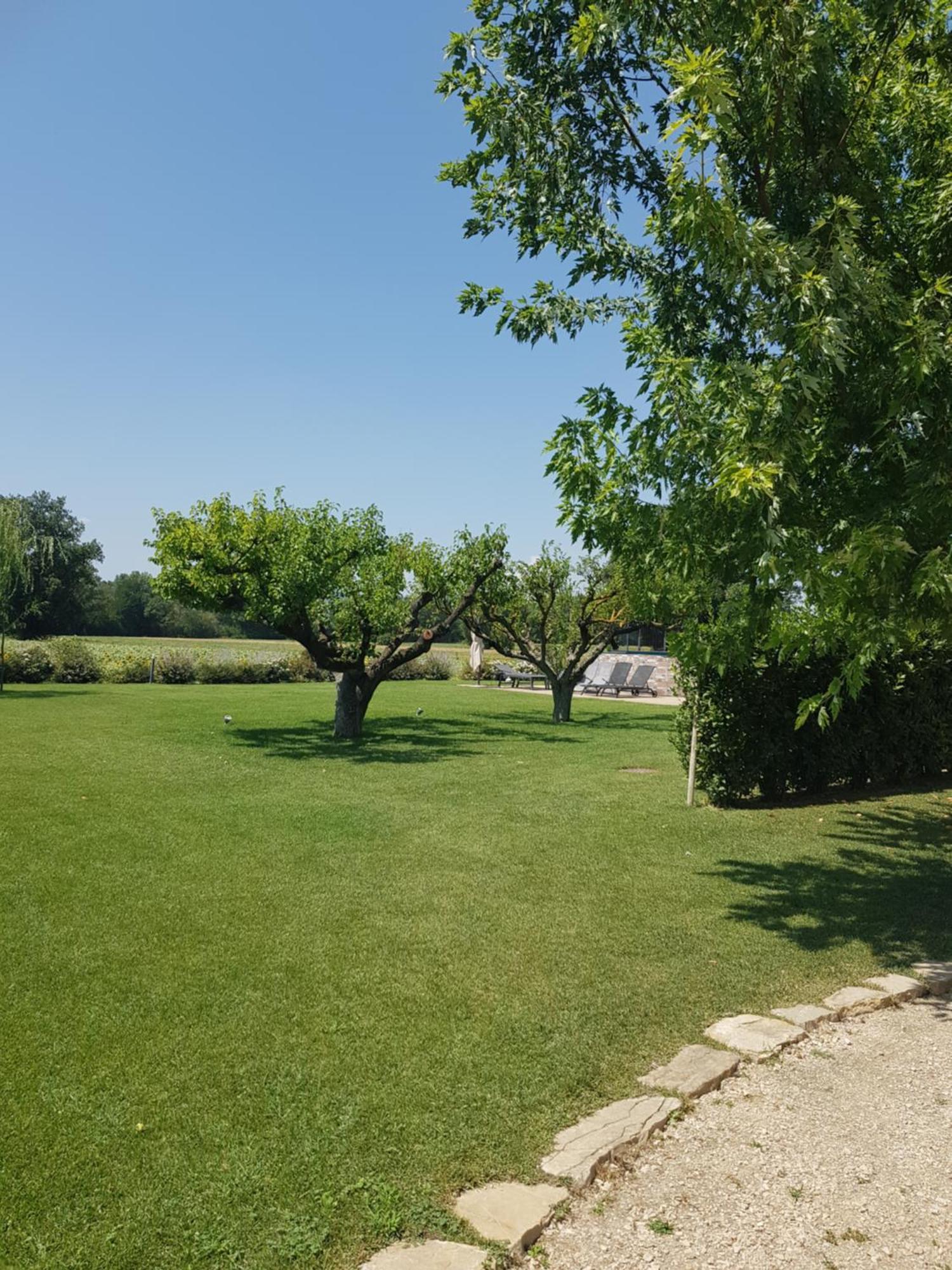 Agriturismo Villa Al Piano Todi Zewnętrze zdjęcie