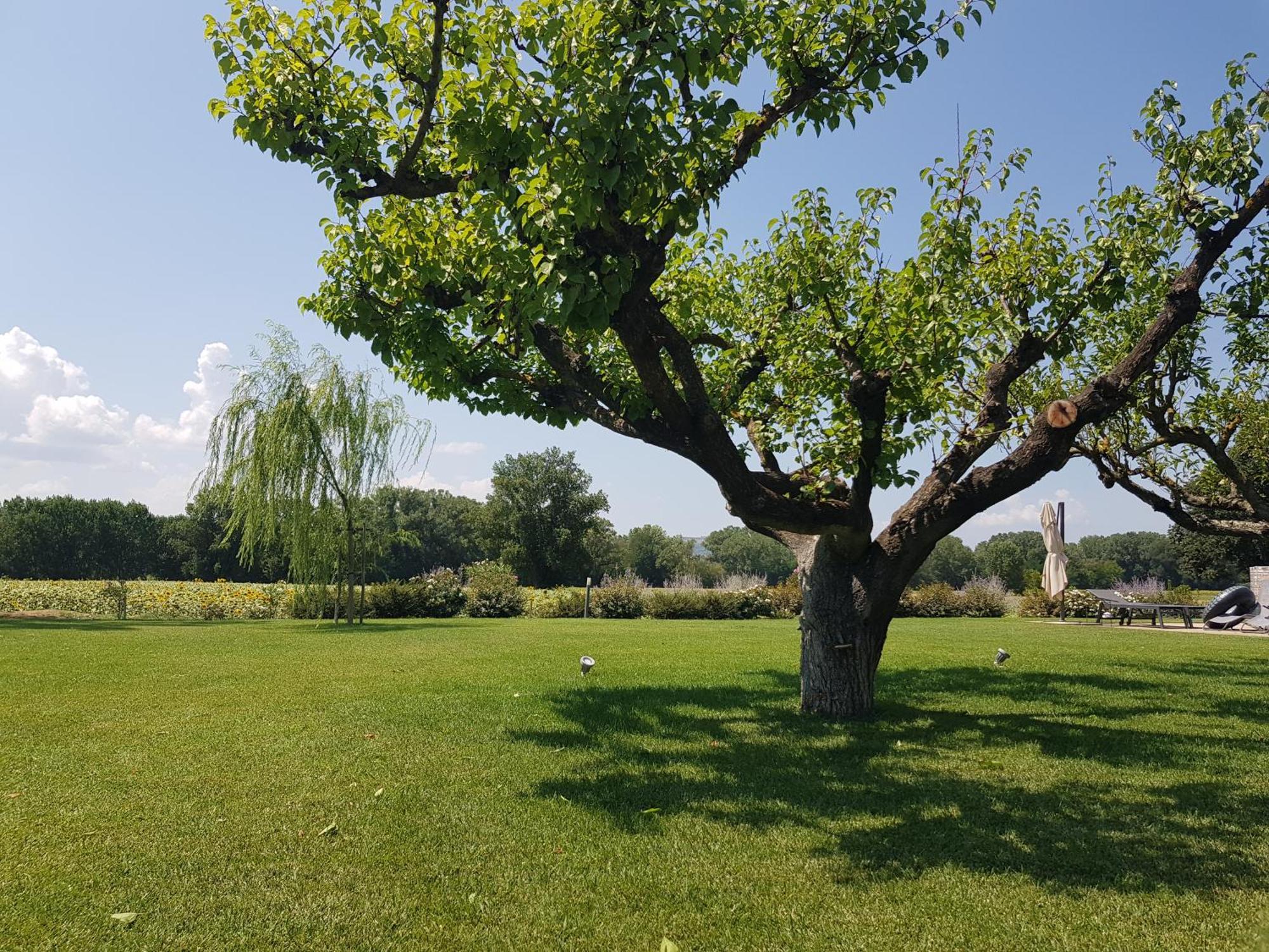 Agriturismo Villa Al Piano Todi Zewnętrze zdjęcie