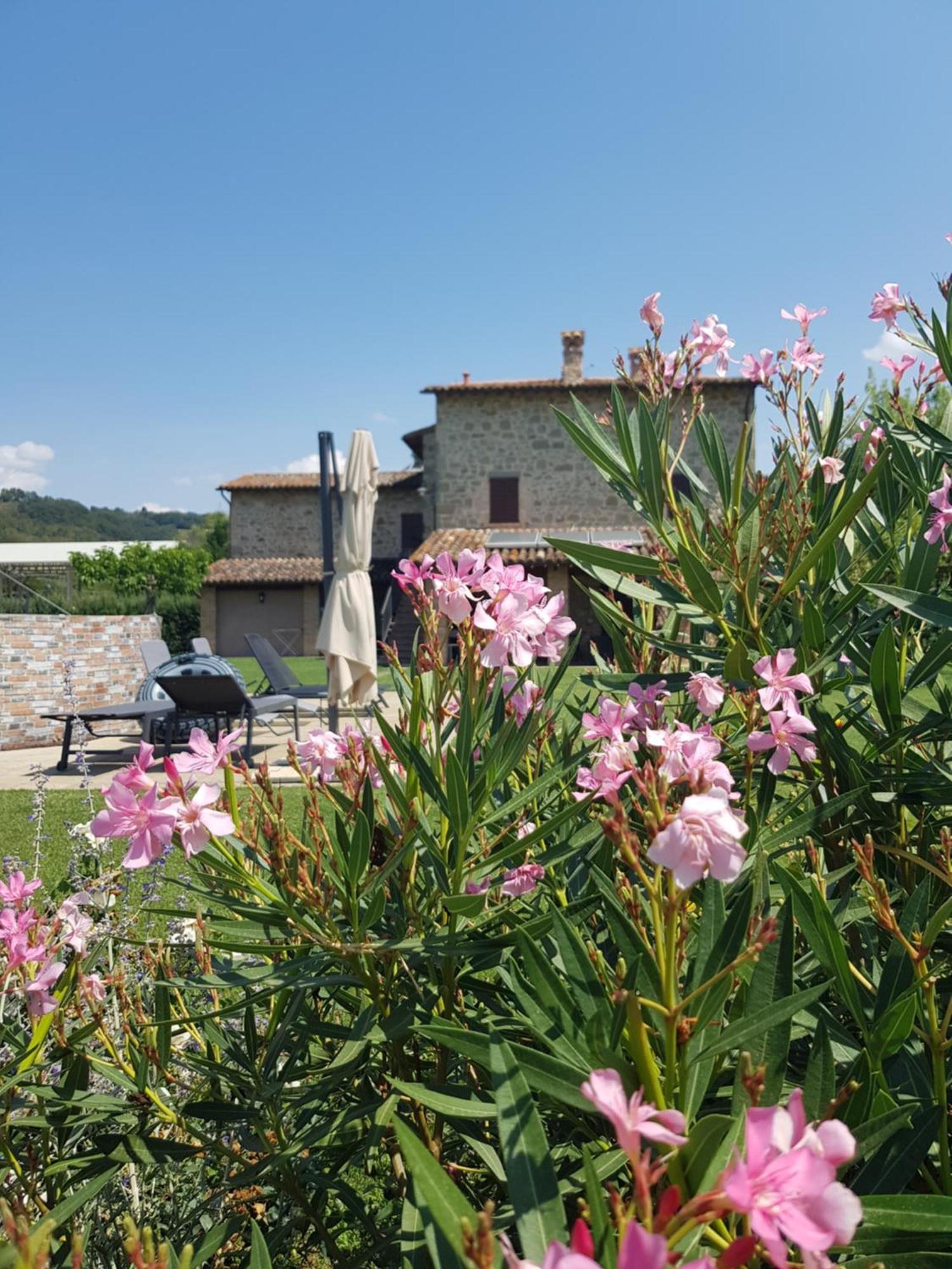 Agriturismo Villa Al Piano Todi Zewnętrze zdjęcie