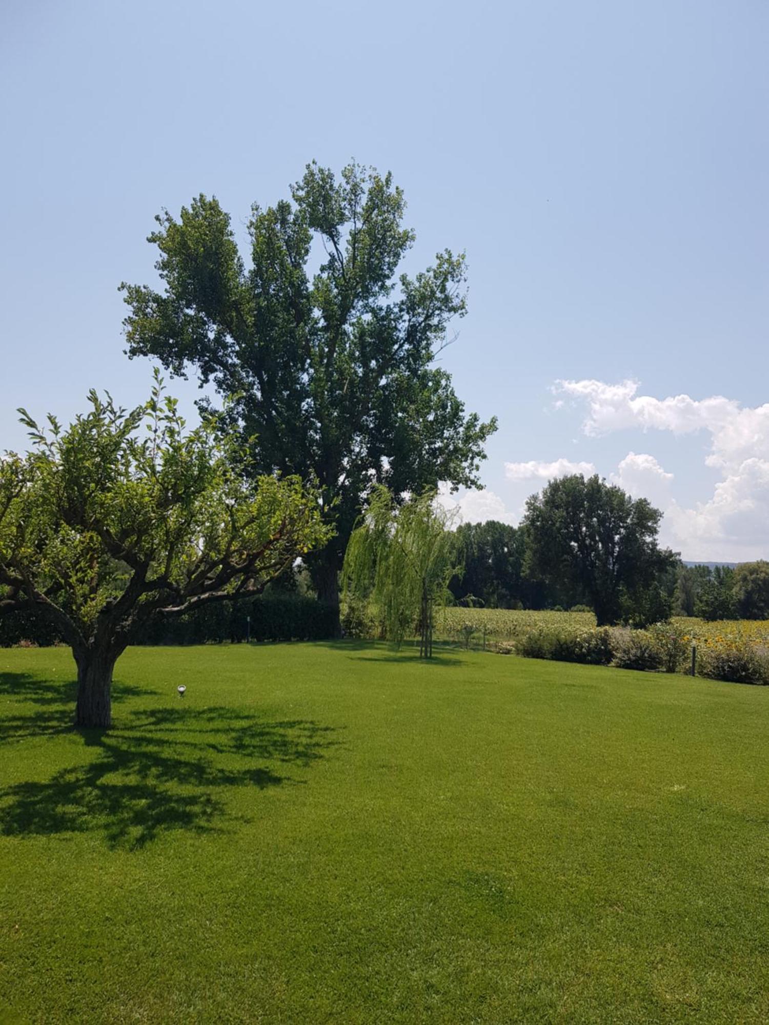 Agriturismo Villa Al Piano Todi Zewnętrze zdjęcie