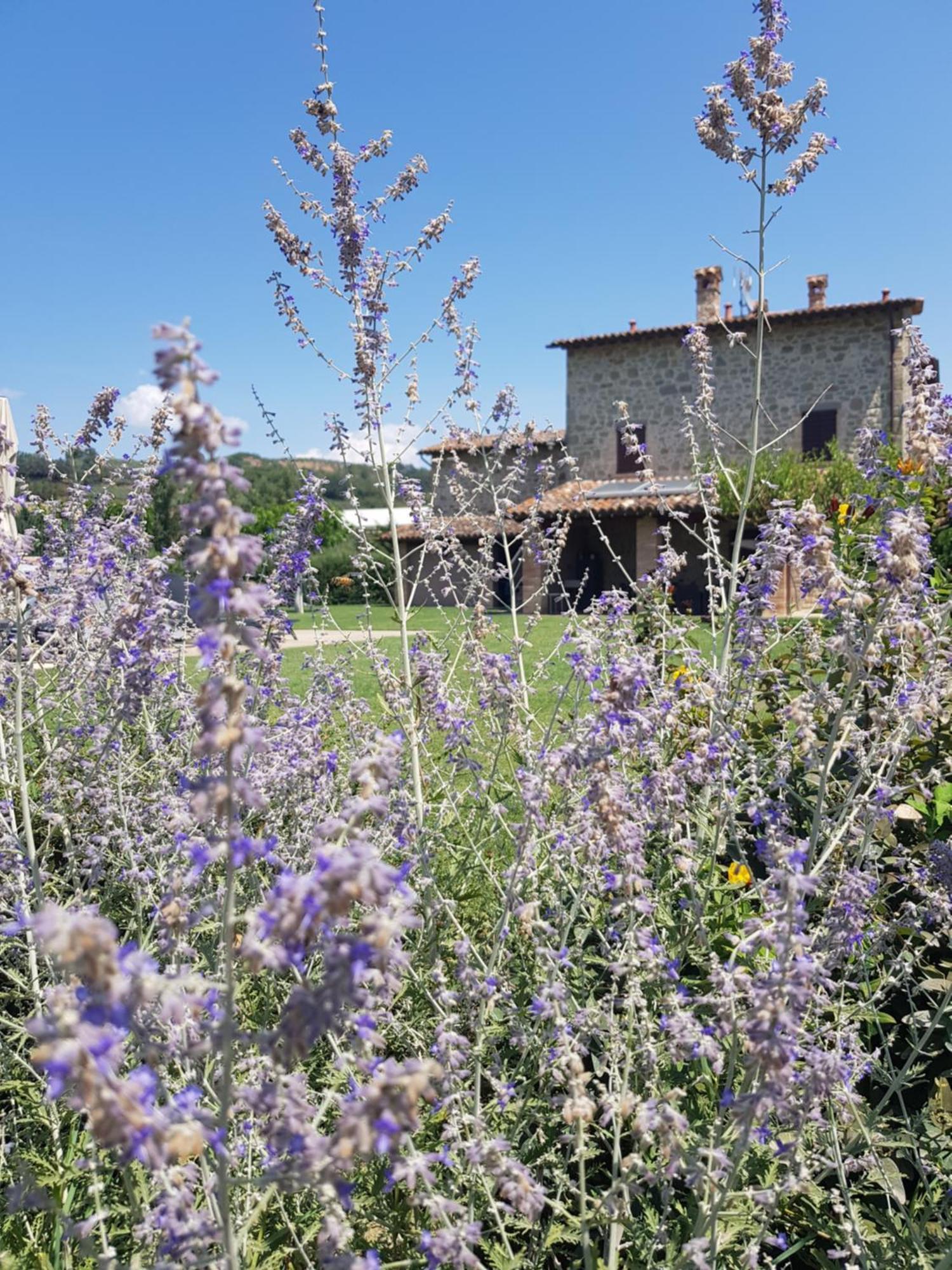 Agriturismo Villa Al Piano Todi Zewnętrze zdjęcie