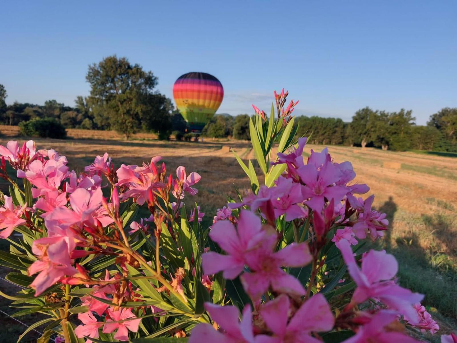 Agriturismo Villa Al Piano Todi Zewnętrze zdjęcie